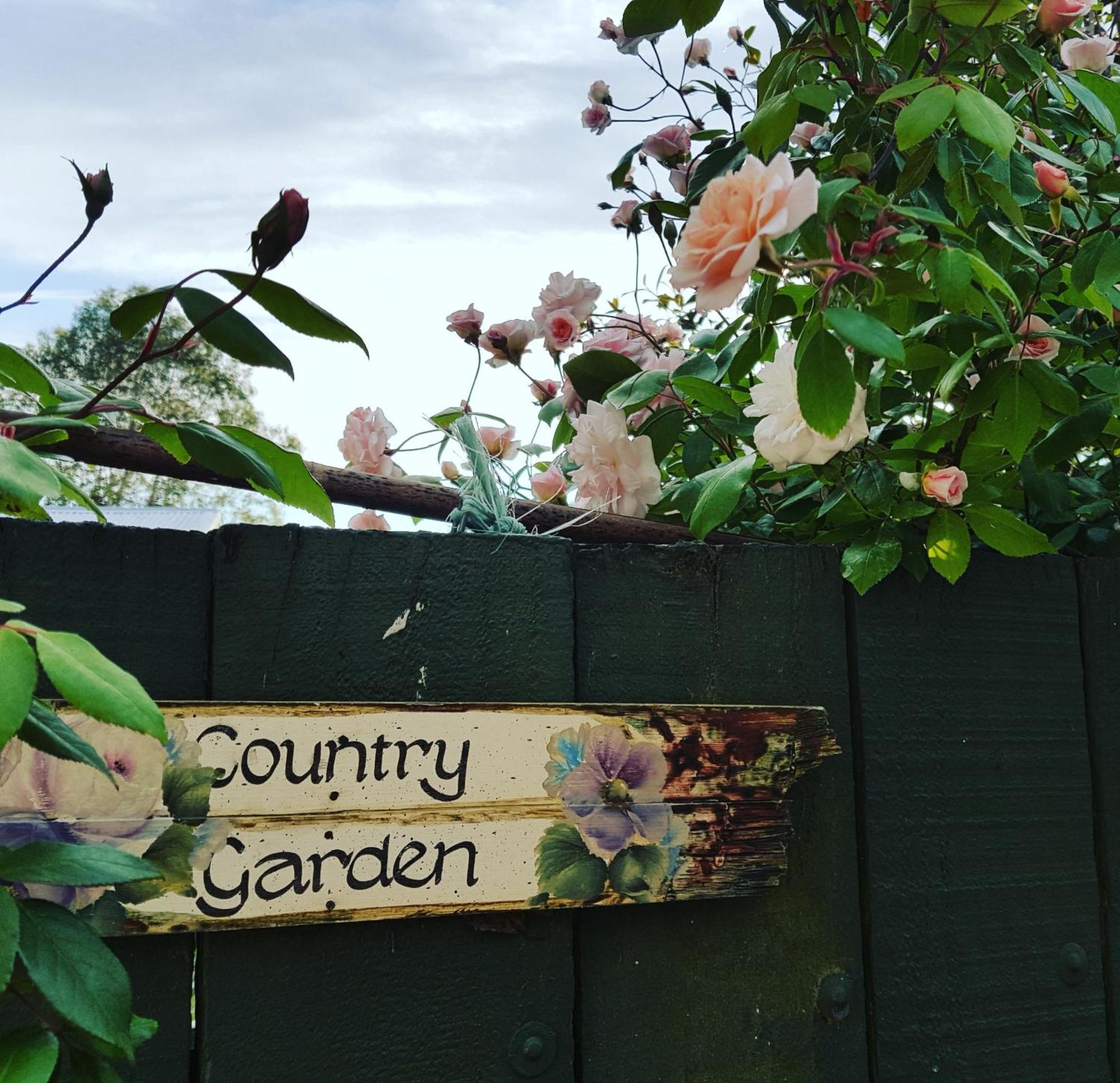 Dragonflycottagebnb Grovetown Buitenkant foto